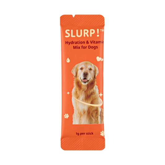 Slurp!® Hydratatiesticks Kip