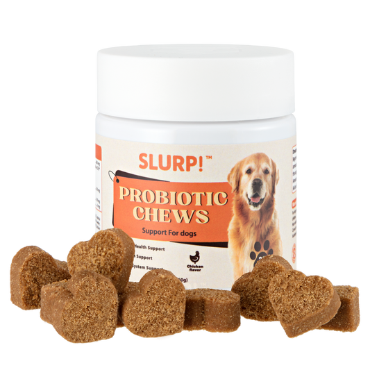 Slurp!® Chews – Probiotica Kauwsnoepjes voor Honden