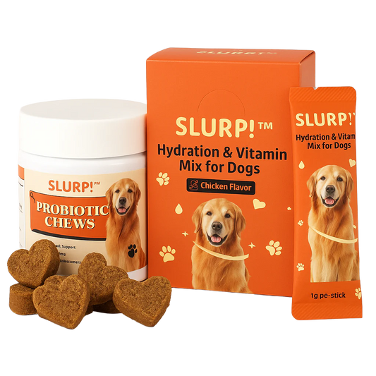 Slurp!® Combi Deal – Hydratatiesticks & Probiotica Chews voor Honden