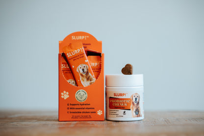 Slurp!® Combi Deal – Hydration Sticks &amp; Probiotic Chews for Dogs