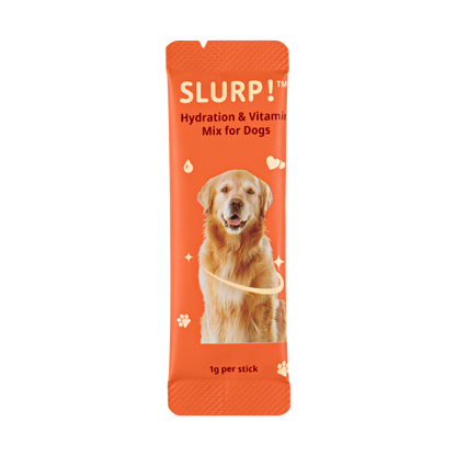 Slurp!® Hydration Sticks Chicken