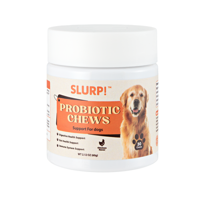 Slurp!® Chews – Probiotica Kauwsnoepjes voor Honden