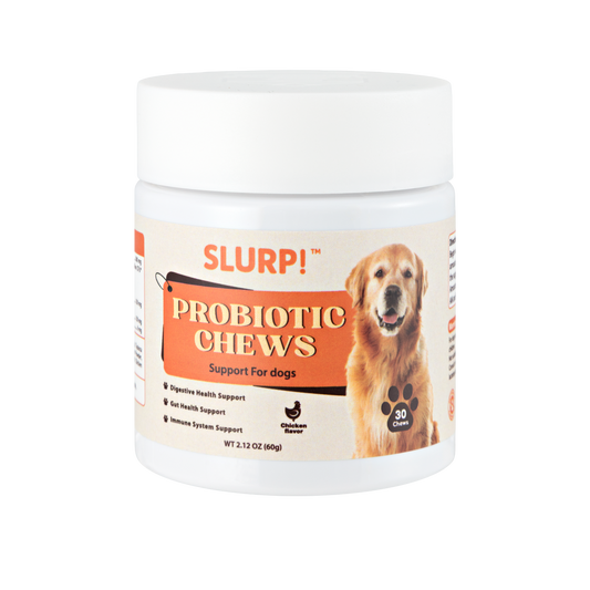 Slurp!® Chews – Probiotica Kauwsnoepjes voor Honden