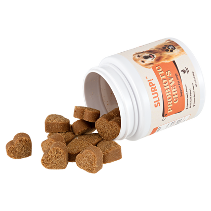 Slurp!® Chews – Probiotica Kauwsnoepjes voor Honden