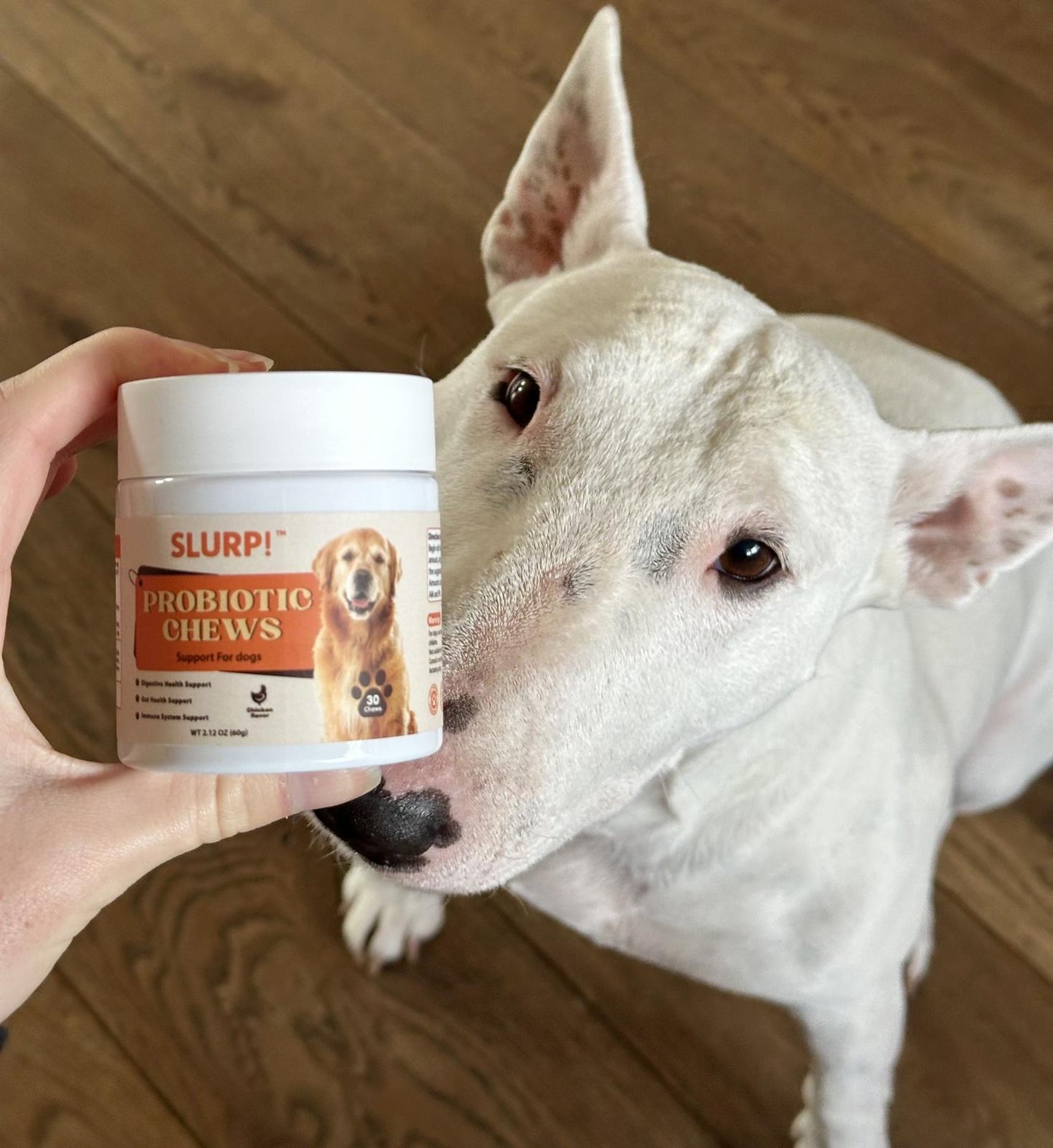 Slurp!® Chews – Probiotica Kauwsnoepjes voor Honden