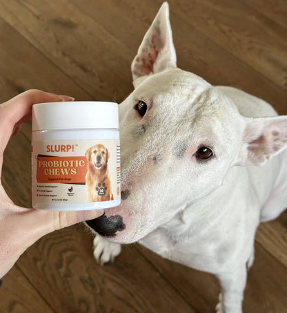 Slurp!® Chews – Probiotica Kauwsnoepjes voor Honden