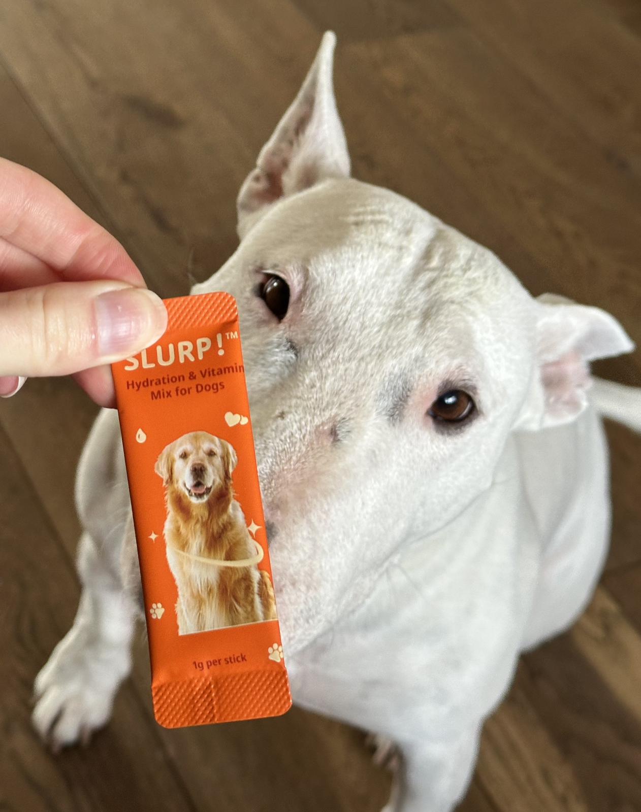 Slurp!® Hydration Sticks Chicken